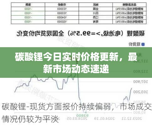 碳酸锂今日实时价格更新，最新市场动态速递
