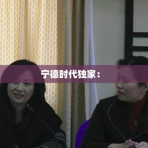 宁德时代独家： 