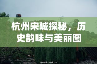 杭州宋城探秘，历史韵味与美丽图片的双重呈现