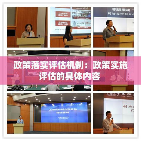 政策落实评估机制：政策实施评估的具体内容 
