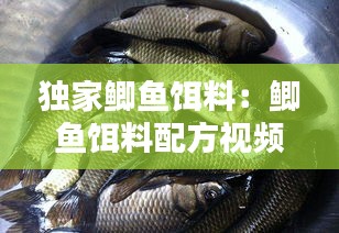 独家鲫鱼饵料：鲫鱼饵料配方视频 