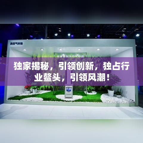 独家揭秘，引领创新，独占行业鳌头，引领风潮！