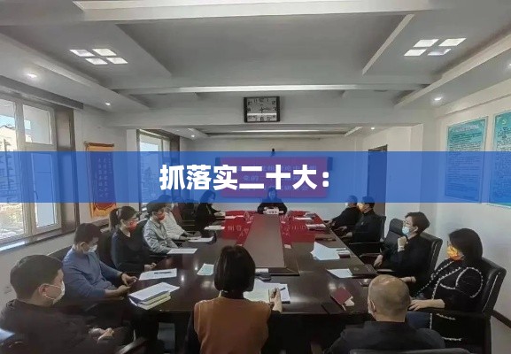 抓落实二十大： 