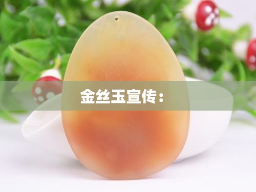 金丝玉宣传： 