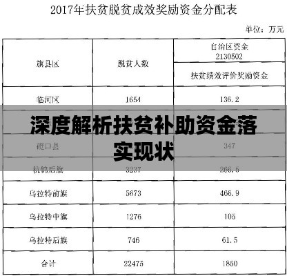 深度解析扶贫补助资金落实现状