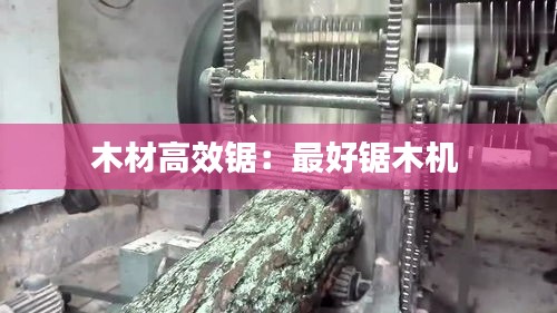 木材高效锯：最好锯木机 