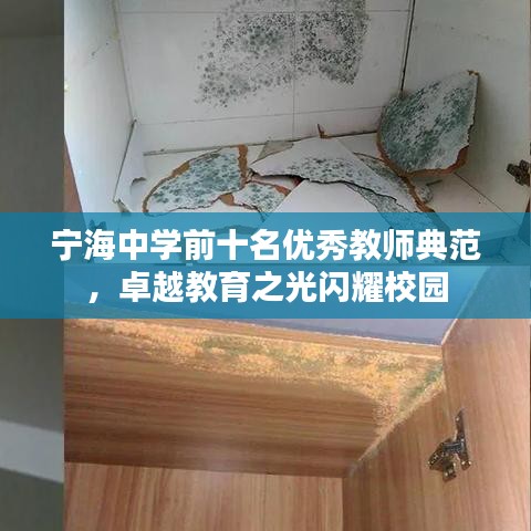 宁海中学前十名优秀教师典范，卓越教育之光闪耀校园