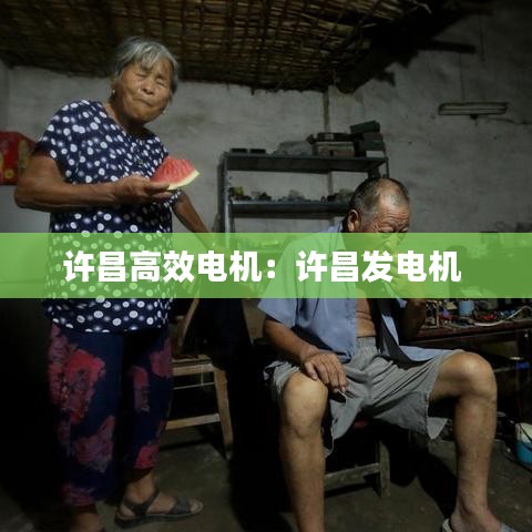 许昌高效电机：许昌发电机 