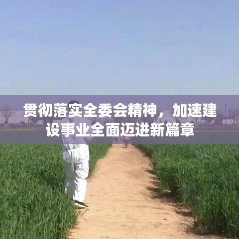 贯彻落实全委会精神，加速建设事业全面迈进新篇章