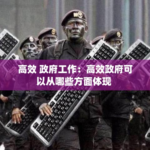 高效 政府工作：高效政府可以从哪些方面体现 