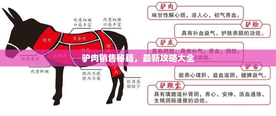 驴肉销售秘籍，最新攻略大全