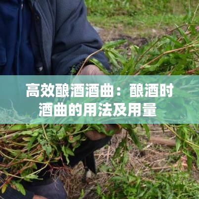改弦更张 第2页