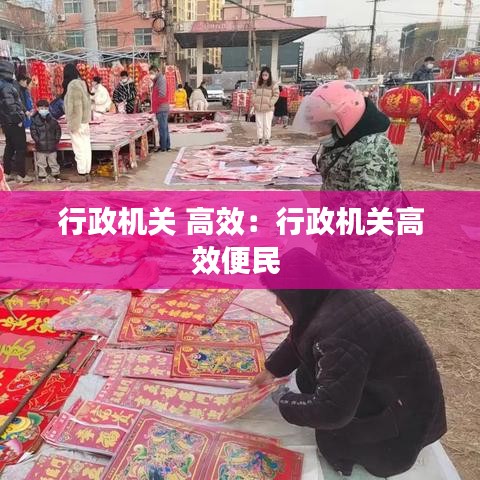 行政机关 高效：行政机关高效便民 