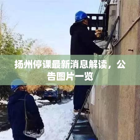 扬州停课最新消息解读，公告图片一览