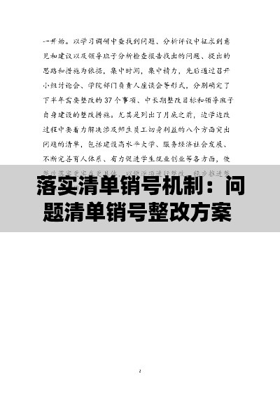 落实清单销号机制：问题清单销号整改方案 