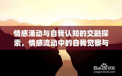 情感涌动与自我认知的交融探索，情感流动中的自我觉察与体验