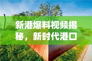 新港爆料视频揭秘，新时代港口繁荣发展的震撼瞬间