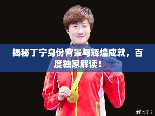 揭秘丁宁身份背景与辉煌成就，百度独家解读！