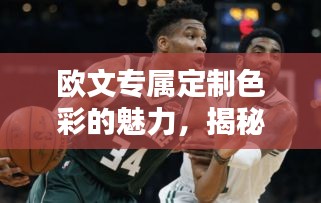 欧文专属定制色彩的魅力，揭秘颜色背后的魔力！