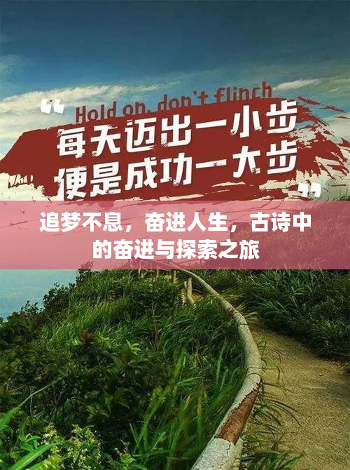 衣无二彩 第2页