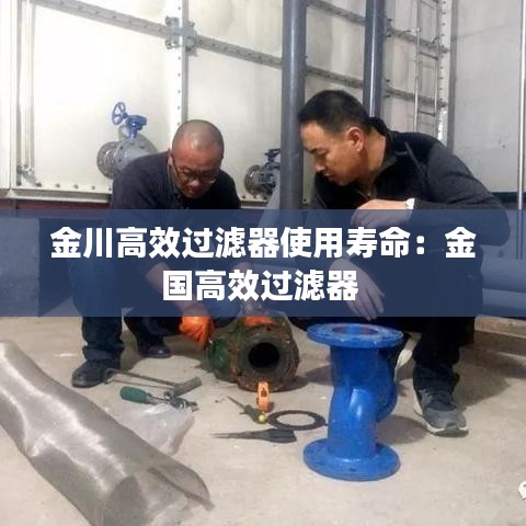 金川高效过滤器使用寿命：金国高效过滤器 