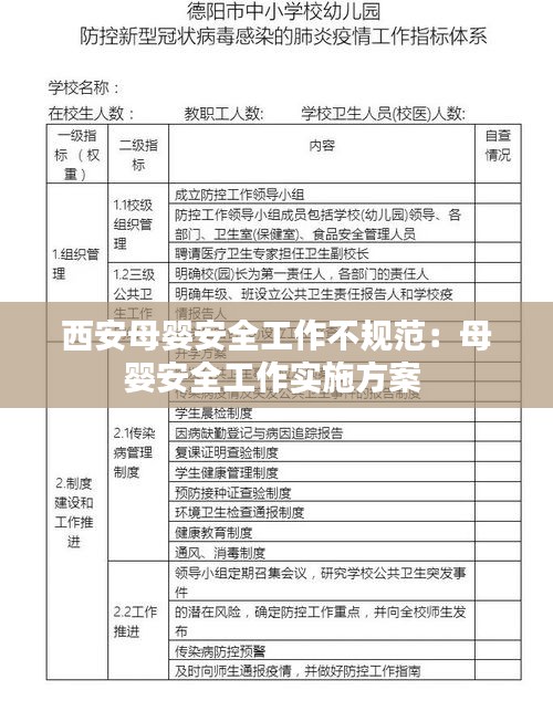 西安母婴安全工作不规范：母婴安全工作实施方案 