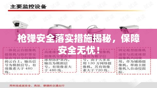 枪弹安全落实措施揭秘，保障安全无忧！