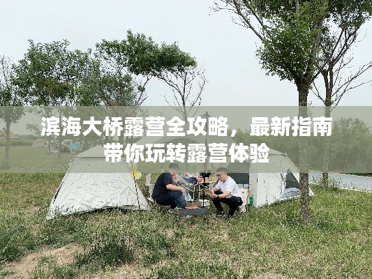 滨海大桥露营全攻略，最新指南带你玩转露营体验