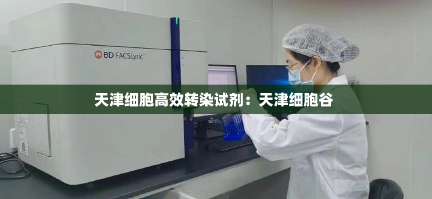 天津细胞高效转染试剂：天津细胞谷 