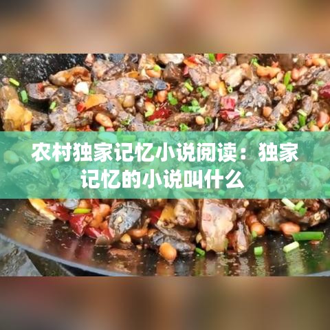 农村独家记忆小说阅读：独家记忆的小说叫什么 