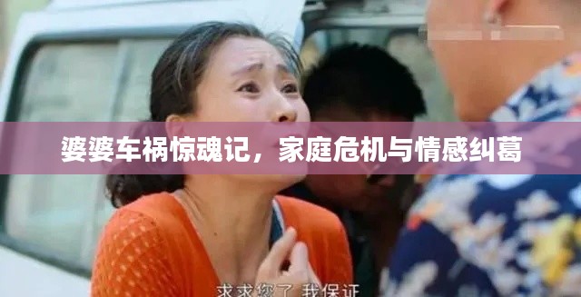 婆婆车祸惊魂记，家庭危机与情感纠葛
