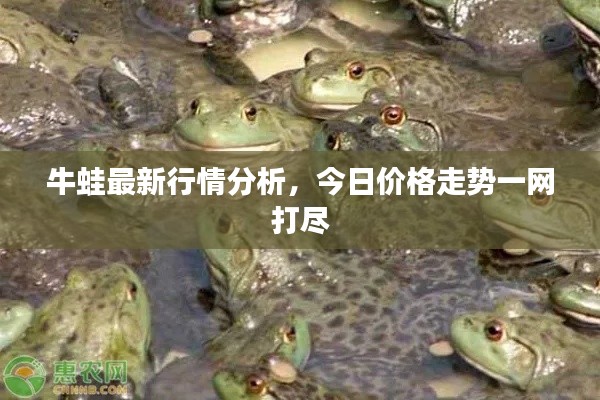 牛蛙最新行情分析，今日价格走势一网打尽