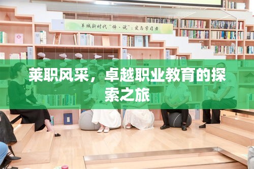 莱职风采，卓越职业教育的探索之旅