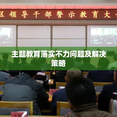 主题教育落实不力问题及解决策略
