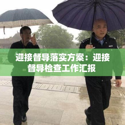 迎接督导落实方案：迎接督导检查工作汇报 