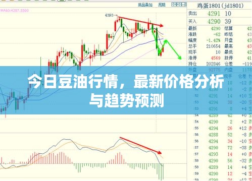 今日豆油行情，最新价格分析与趋势预测
