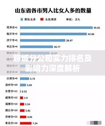 聊城分公司实力排名及影响力深度解析