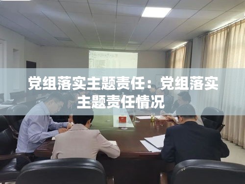 党组落实主题责任：党组落实主题责任情况 