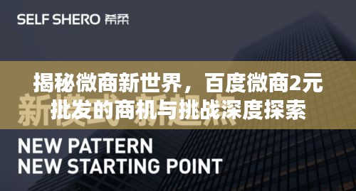 揭秘微商新世界，百度微商2元批发的商机与挑战深度探索