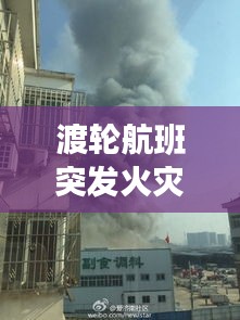 池鱼笼鸟 第2页