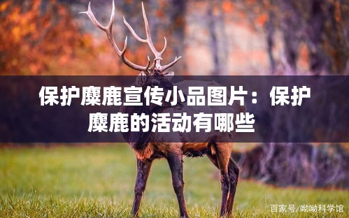 保护麋鹿宣传小品图片：保护麋鹿的活动有哪些 