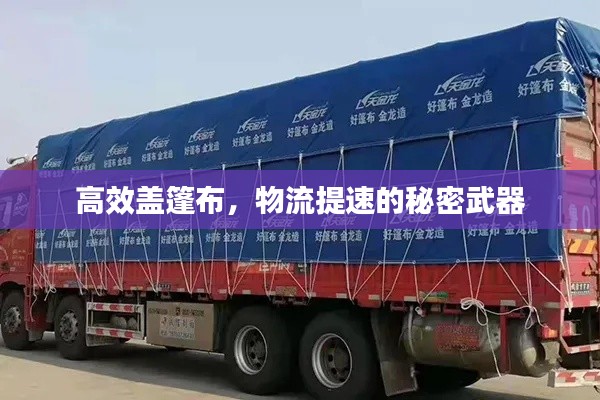 懵懵懂懂 第2页