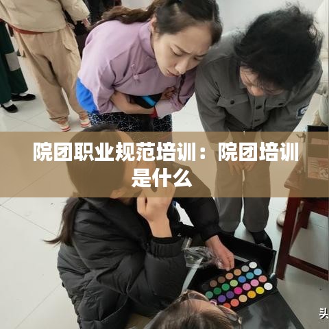 院团职业规范培训：院团培训是什么 