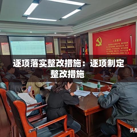 逐项落实整改措施：逐项制定整改措施 