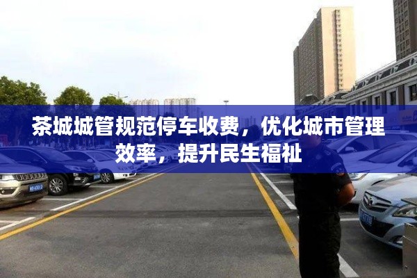 茶城城管规范停车收费，优化城市管理效率，提升民生福祉