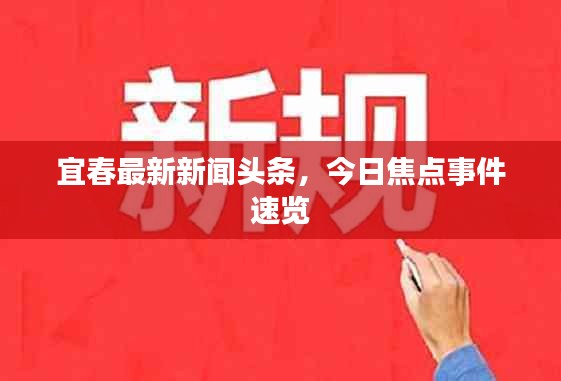 宜春最新新闻头条，今日焦点事件速览