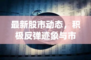 最新股市动态，积极反弹迹象与市场乐观预期