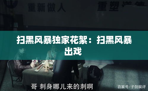 扫黑风暴独家花絮：扫黑风暴出戏 