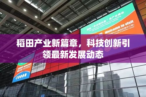 丢三落四 第2页