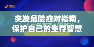 突发危险应对指南，保护自己的生存智慧与策略